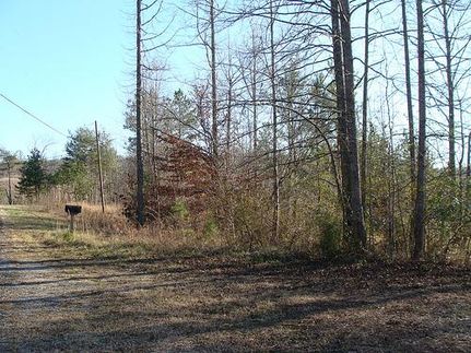 Farm and Ranch in Marion County, Alabama