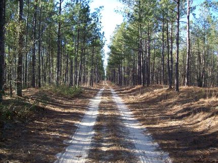 Farm and Ranch in Bladen County, North Carolina