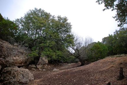 Farm and Ranch in Edwards County, Texas