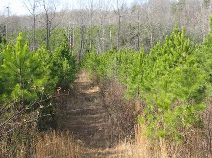 Farm and Ranch in Mecklenburg County, Virginia
