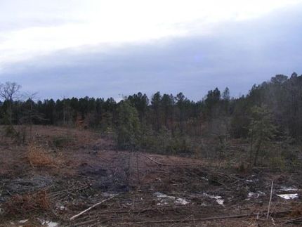 Farm and Ranch in Union County, Arkansas