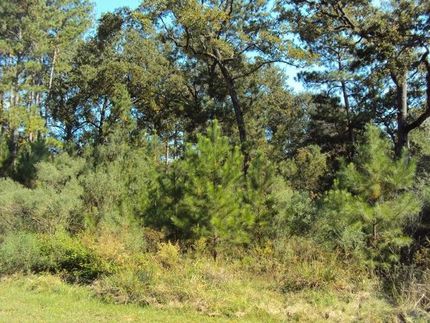 Farm and Ranch in Montgomery County, Texas