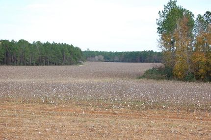 Farm and Ranch in Worth County, Georgia