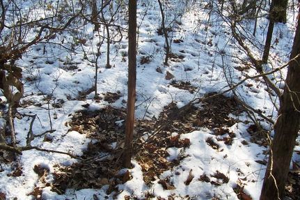 Land in Vernon County, Missouri