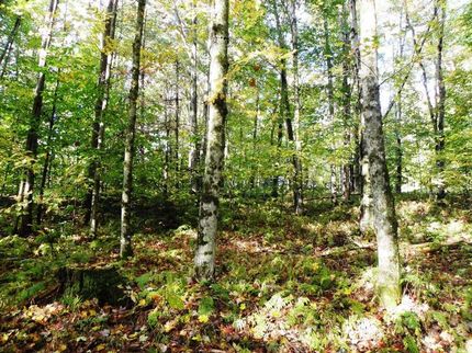 Farm and Ranch in Windsor County, Vermont