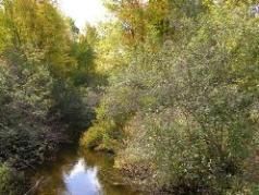Riverfront Property in Osceola County, Michigan