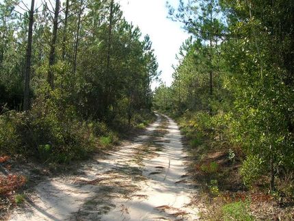 Farm and Ranch in Bay County, Florida