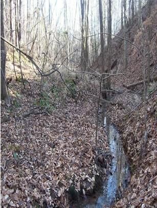 Farm and Ranch in Rutherford County, North Carolina