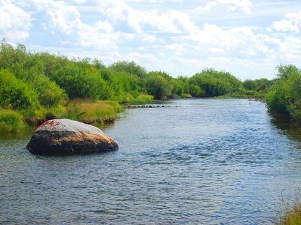 Timberland Property in Sublette County, Wyoming