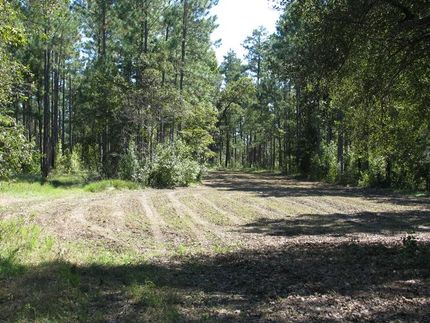 Land in Monroe County, Alabama