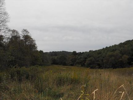 Land in Carroll County, Virginia