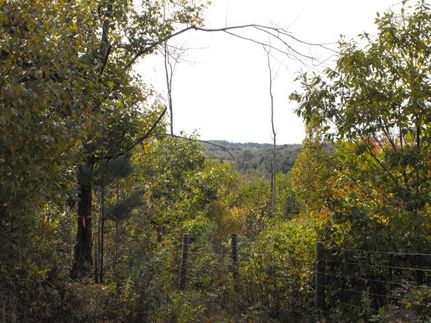 Land in Carroll County, Virginia