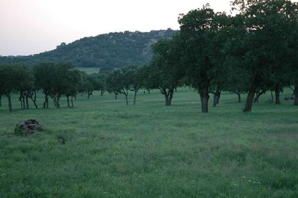 Recreational Property in Mason County, Texas