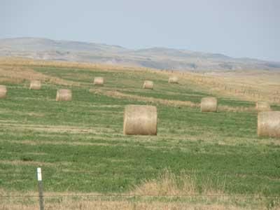 Land in Bowman County, North Dakota