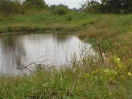 Farm and Ranch in Lamar County, Texas