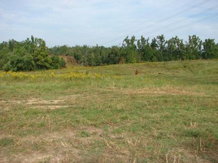 Commercial Property in Lyon County, Kentucky