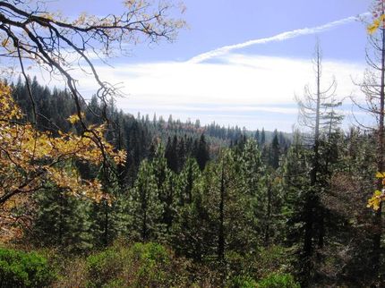 Farm and Ranch in El Dorado County, California
