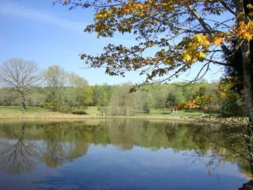 Land in Greenwood County, South Carolina