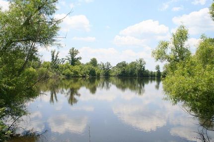 Land in York County, South Carolina