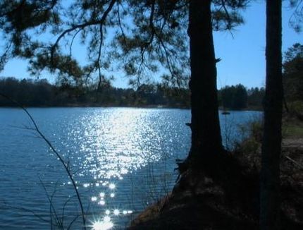 Land in Union Parish, Louisiana