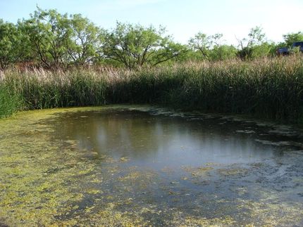 Land in Taylor County, Texas