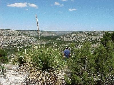 Farm and Ranch in Terrell County, Texas