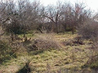 Recreational Property in Irion County, Texas