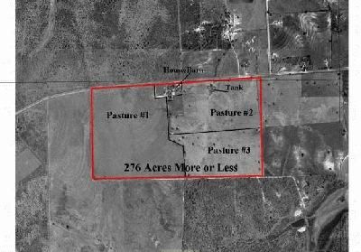 Farm and Ranch in Karnes County, Texas