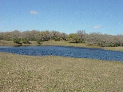 Farm and Ranch in Caldwell County, Texas