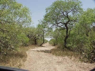 Farm and Ranch in Duval County, Texas