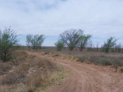 House in Cochran County, Texas
