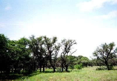 Farm and Ranch in Kimble County, Texas