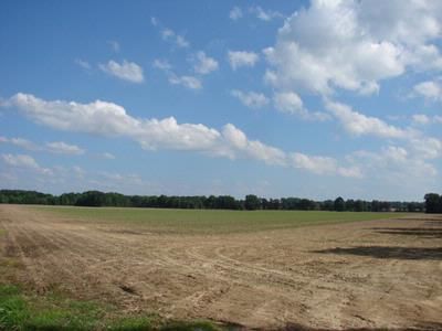 Farm and Ranch in Haywood County, Tennessee