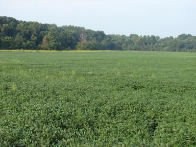 Farm and Ranch in Ballard County, Kentucky