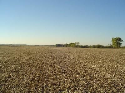 Farm and Ranch in DeKalb County, Missouri
