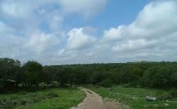 Timberland Property in Comal County, Texas