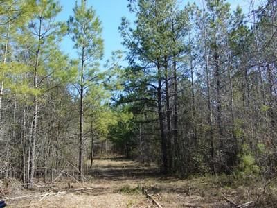 Land in Coweta County, Georgia