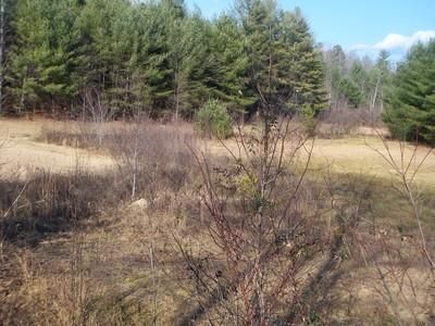 Farm and Ranch in Oconee County, South Carolina