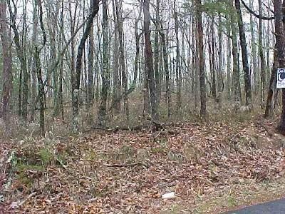 Horse Property in Oconee County, South Carolina