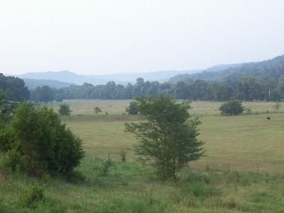 Farm and Ranch in Madison County, Arkansas