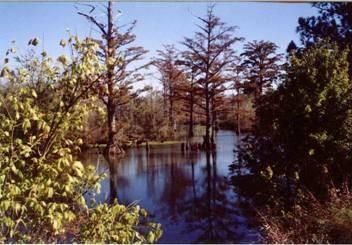 Farm and Ranch in Jackson County, Arkansas