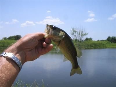 Farm and Ranch in Fayette County, Texas
