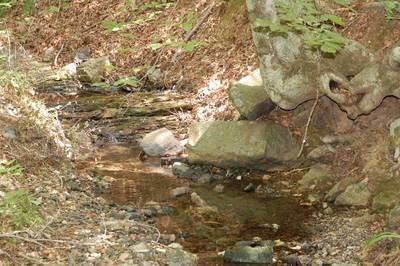 Land in Polk County, Arkansas