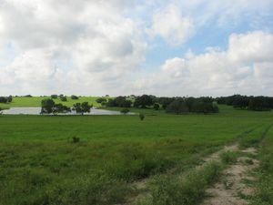 Land in Bee County, Texas