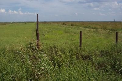 Farm and Ranch in Jones County, Texas