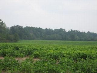 Land in Greensville County, Virginia