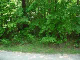 Land in Sussex County, Virginia