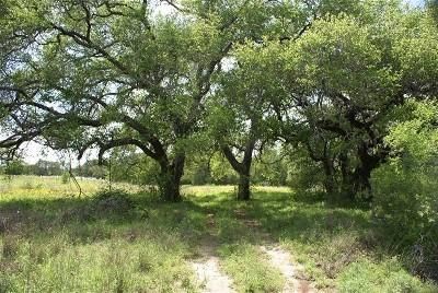 Farm and Ranch in Atascosa County, Texas