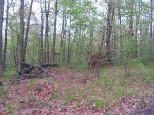 Land in Lake County, Michigan