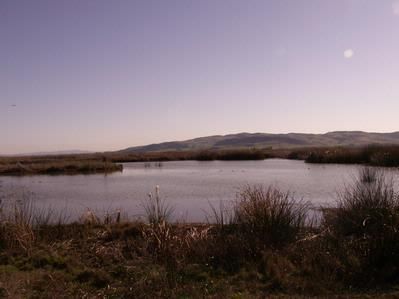 Farm and Ranch in Solano County, California